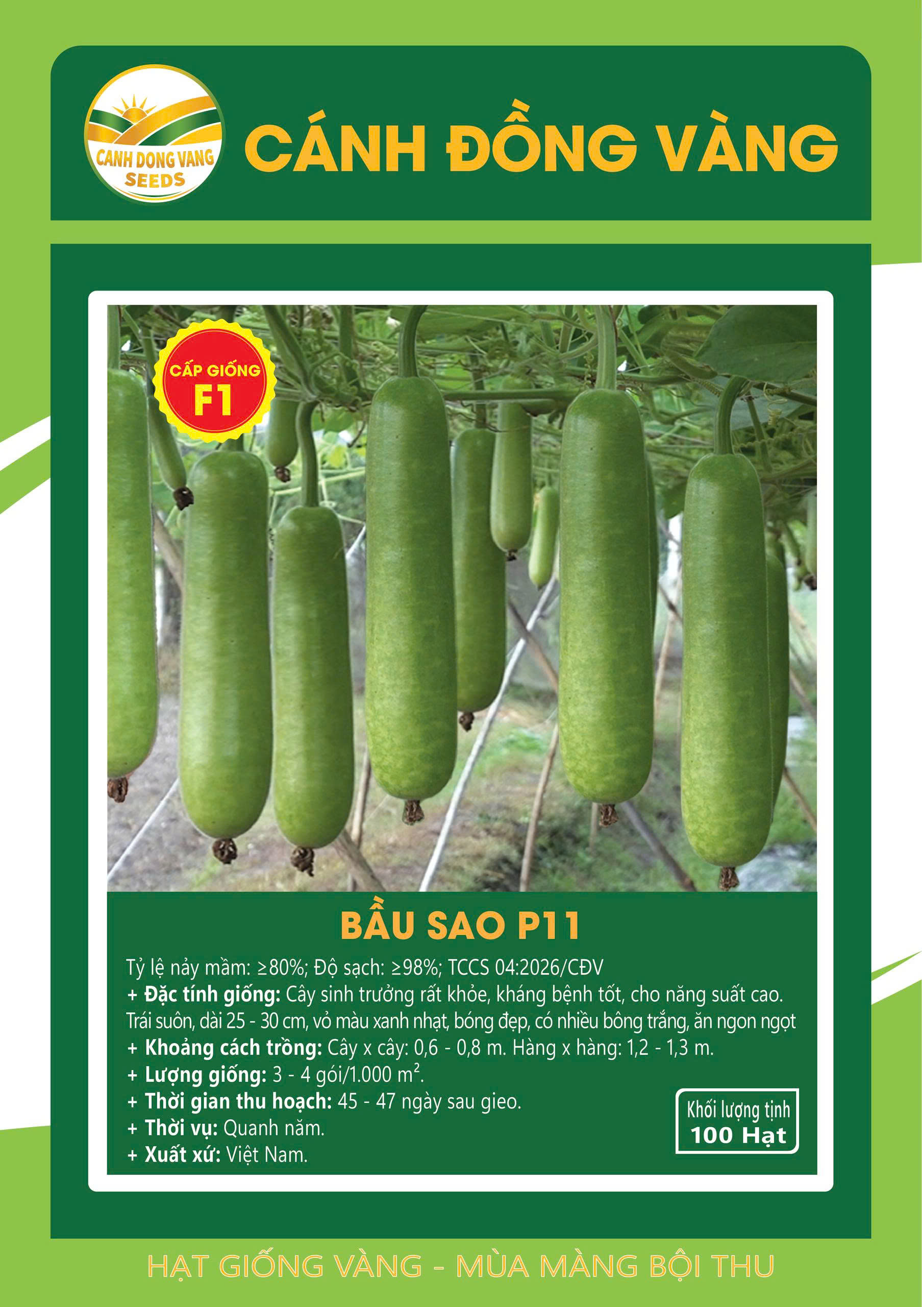 BẦU SAO P11